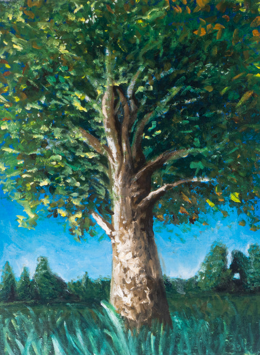 árbol primavera