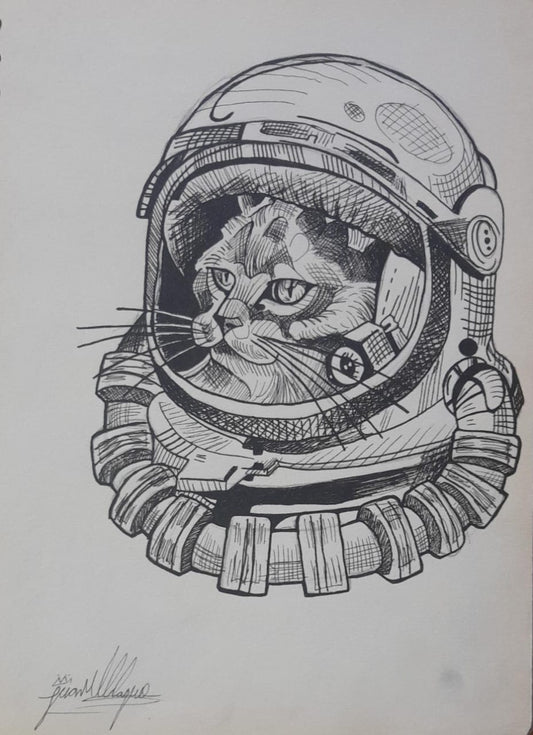 astrogato